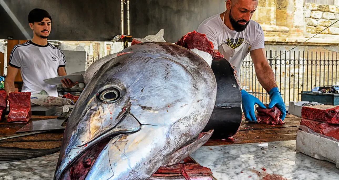 PALERMO, AL MERCATO BALLARO’